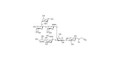 Fucosyl GM1 Ganglioside oligosaccharide with terminal alkyne (Linker-CΞCH A) - GLY103-NPR