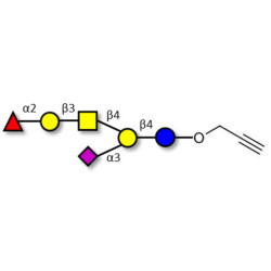 Fucosyl GM1 Ganglioside oligosaccharide with terminal alkyne (Linker-CΞCH B)