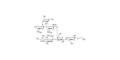 Fucosyl GM1 Ganglioside oligosaccharide with terminal alkyne (Linker-CΞCH B)