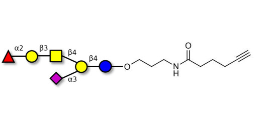Fucosyl GM1 Ganglioside oligosaccharide with terminal alkyne (Linker-CΞCH C)