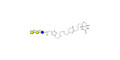 Asialo GM2 Ganglioside oligosaccharide (aGM2) linked to biotin (Linker-BT A) -  GA2