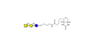 Asialo GM2 Ganglioside...