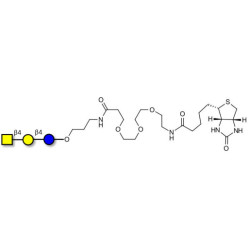 Asialo GM2 Ganglioside oligosaccharide (aGM2) linked to biotin (Linker-BT C)