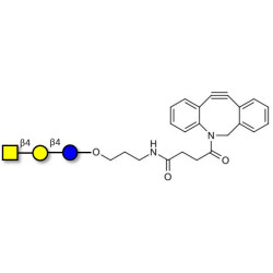 Asialo GM2 Ganglioside oligosaccharide (aGM2) with DBCO (Linker-DBCO A)