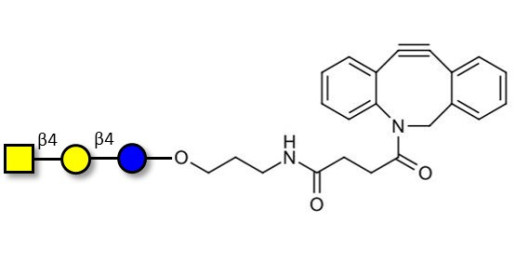 Asialo GM2 Ganglioside oligosaccharide (aGM2) with DBCO (Linker-DBCO A) -  GA2