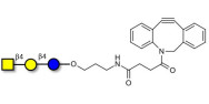 Asialo GM2 Ganglioside...