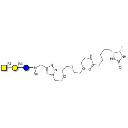 Asialo GM2 Ganglioside oligosaccharide (aGM2) linked to desthiobiotin (Linker-DBT-A)