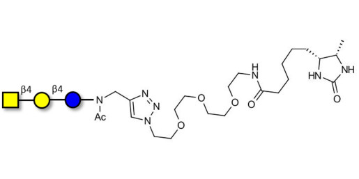 Asialo GM2 Ganglioside oligosaccharide (aGM2) linked to desthiobiotin (Linker-DBT-A) -  GA2