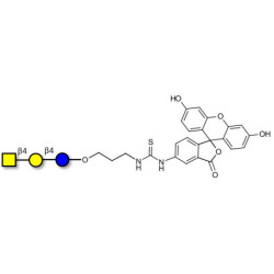 Asialo GM2 Ganglioside oligosaccharide (aGM2) linked to fluorescein (Linker-FLUO A)