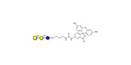 Asialo GM2 Ganglioside...