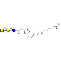 Asialo GM2 Ganglioside oligosaccharide (aGM2) grafted on gel for affinity chromatography (Linker-GEL A)
