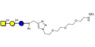 Asialo GM2 Ganglioside...