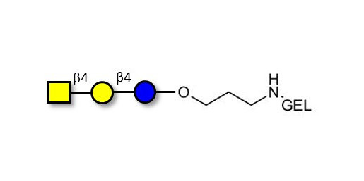 Asialo GM2 Ganglioside oligosaccharide (aGM2) grafted on gel for affinity chromatography (Linker-GEL B) -  GA2