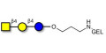 Asialo GM2 Ganglioside oligosaccharide (aGM2) grafted on gel for affinity chromatography (Linker-GEL B) -  GA2
