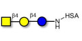 Asialo GM2 Ganglioside oligosaccharide (aGM2) grafted on HSA -  GA2