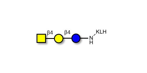 Asialo GM2 Ganglioside oligosaccharide (aGM2) grafted on KLH -  GA2