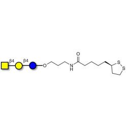 Asialo GM2 Ganglioside oligosaccharide (aGM2) with cyclic di-thiol (Linker-LIPO A)