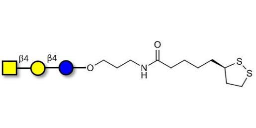 Asialo GM2 Ganglioside oligosaccharide (aGM2) with cyclic di-thiol (Linker-LIPO A) -  GA2