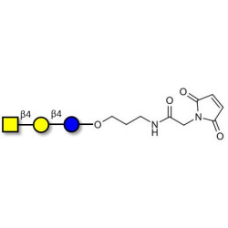 Asialo GM2 Ganglioside oligosaccharide (aGM2) linked to maleimide (Linker-MAL A)
