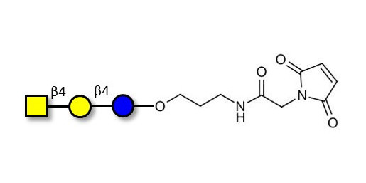 Asialo GM2 Ganglioside oligosaccharide (aGM2) linked to maleimide (Linker-MAL A) -  GA2