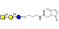 Asialo GM2 Ganglioside oligosaccharide (aGM2) linked to maleimide (Linker-MAL A) -  GA2