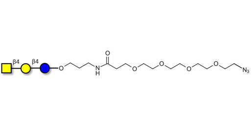Asialo GM2 Ganglioside oligosaccharide (aGM2) with terminal azide (Linker-N3 A) -  GA2