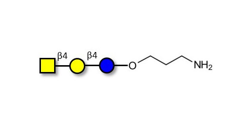 Asialo GM2 Ganglioside oligosaccharide (aGM2) with free terminal amine (Linker-NH2 A) -  GA2
