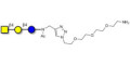 Asialo GM2 Ganglioside oligosaccharide (aGM2) with free terminal amine (Linker-NH2 B) -  GA2