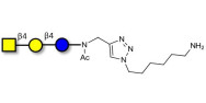 Asialo GM2 Ganglioside...