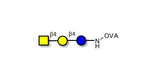 Asialo GM2 Ganglioside oligosaccharide (aGM2) grafted on OVA -  GA2