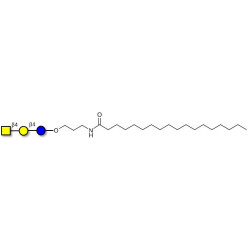 Asialo GM2 Ganglioside oligosaccharide (aGM2) with stearic chain (Linker-STEA A)