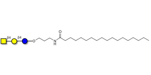 Asialo GM2 Ganglioside oligosaccharide (aGM2) with stearic chain (Linker-STEA A) -  GA2