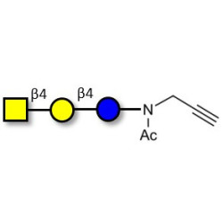Asialo GM2 Ganglioside oligosaccharide (aGM2) with terminal alkyne (Linker-CΞCH A)