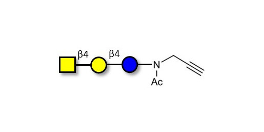 Asialo GM2 Ganglioside oligosaccharide (aGM2) with terminal alkyne (Linker-CΞCH A) - GLY104-NPR ; GA2