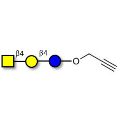 Asialo GM2 Ganglioside oligosaccharide (aGM2) with terminal alkyne (Linker-CΞCH B)