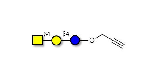 Asialo GM2 Ganglioside oligosaccharide (aGM2) with terminal alkyne (Linker-CΞCH B) -  GA2