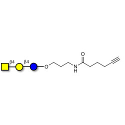 Asialo GM2 Ganglioside oligosaccharide (aGM2) with terminal alkyne (Linker-CΞCH C)