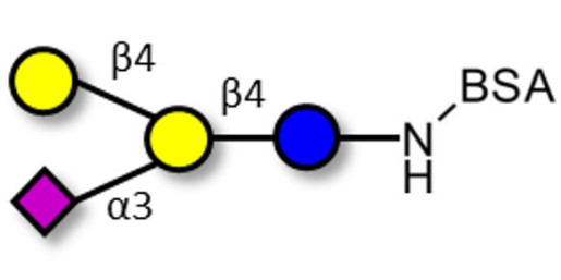 GM2 Ganglioside oligosaccharide analogue grafted on BSA