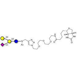 GM2 Ganglioside oligosaccharide analogue linked to biotin (Linker-BT A)