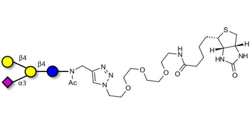 GM2 Ganglioside oligosaccharide analogue linked to biotin (Linker-BT A)