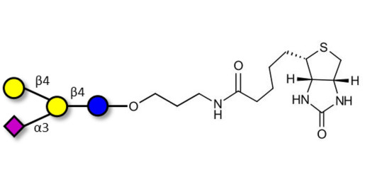GM2 Ganglioside oligosaccharide analogue linked to biotin (Linker-BT B)