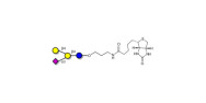 GM2 Ganglioside...