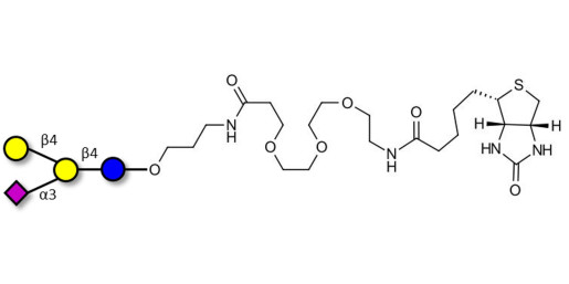GM2 Ganglioside oligosaccharide analogue linked to biotin (Linker-BT C)
