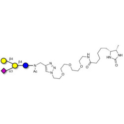 GM2 Ganglioside oligosaccharide analogue linked to desthiobiotin (Linker-DBT-A)
