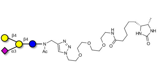 GM2 Ganglioside oligosaccharide analogue linked to desthiobiotin (Linker-DBT-A)