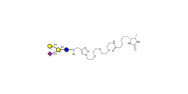 GM2 Ganglioside...