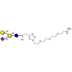 GM2 Ganglioside oligosaccharide analogue grafted on gel for affinity chromatography (Linker-GEL A)