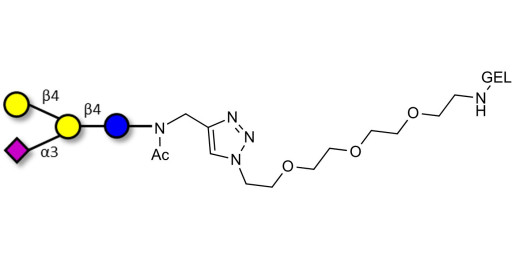 GM2 Ganglioside oligosaccharide analogue grafted on gel for affinity chromatography (Linker-GEL A)