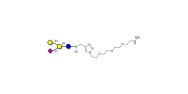 GM2 Ganglioside...