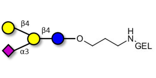GM2 Ganglioside oligosaccharide analogue grafted on gel for affinity chromatography (Linker-GEL B)